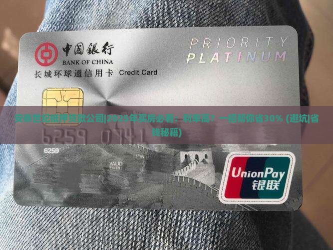 安泰世纪抵押贷款公司