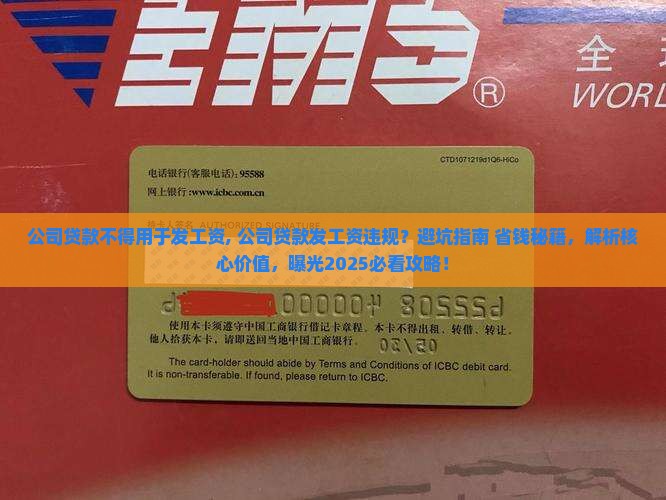 公司贷款不得用于发工资