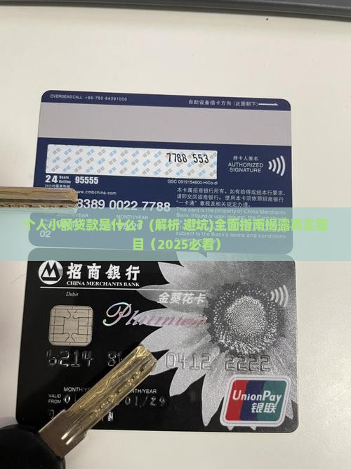 个人小额贷款是什么