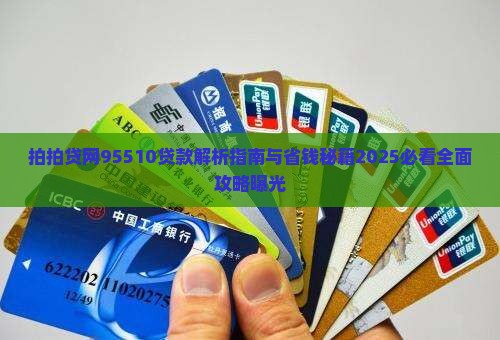 拍拍贷网95510贷款