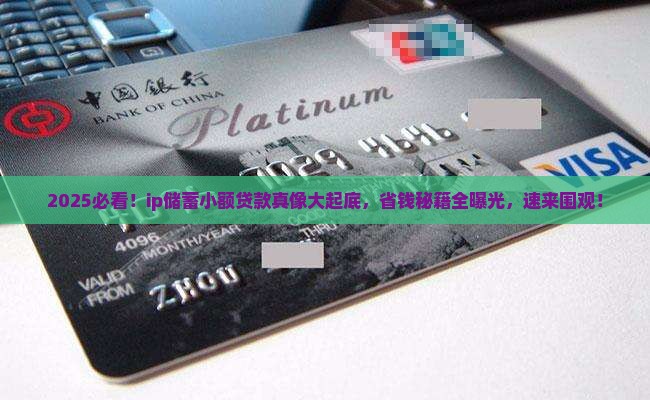 ip储蓄小额贷款