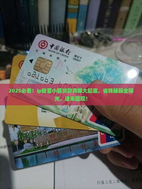 ip储蓄小额贷款