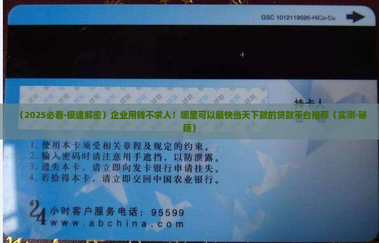 什么平台贷款下的快