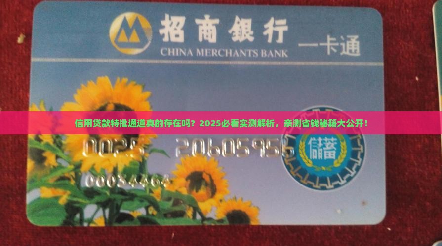信用贷款有特批通道吗