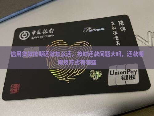信用贷款按期还款怎么还