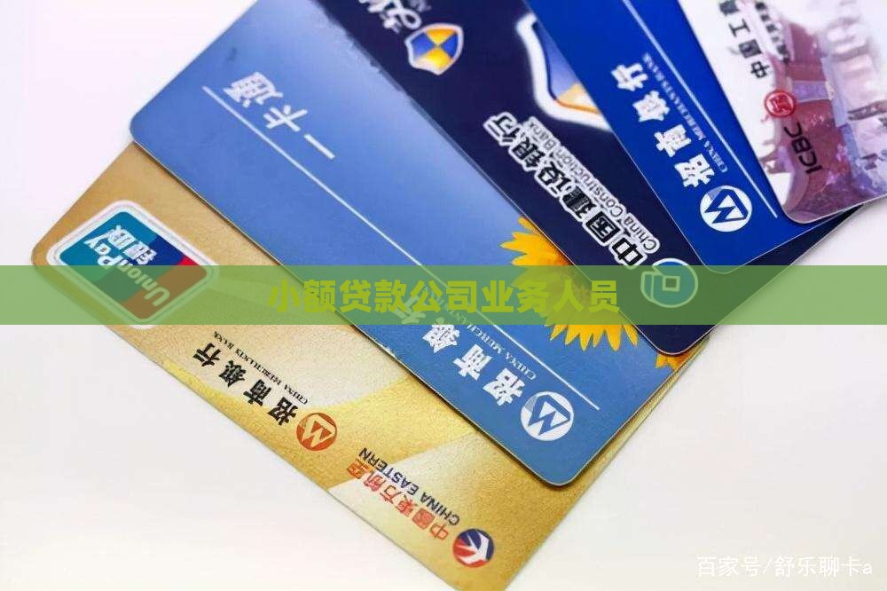从事小额贷款的人