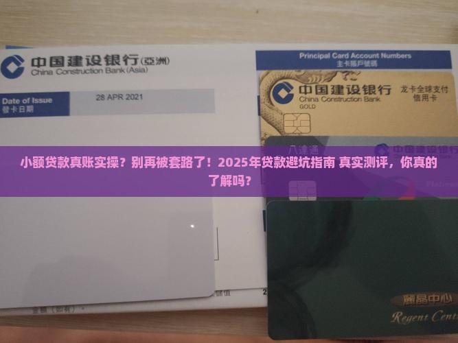 小额贷款真账实操