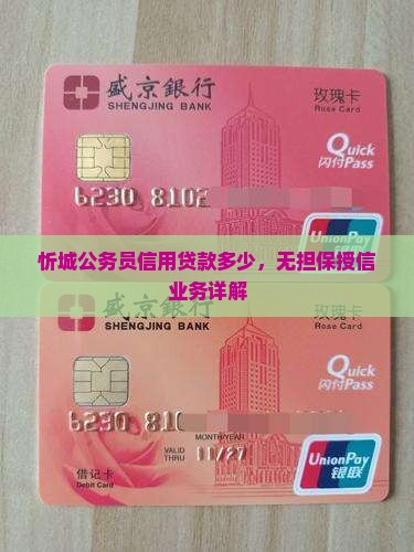 忻城公务员信用贷款多少