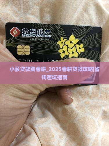 小额贷款助春耕