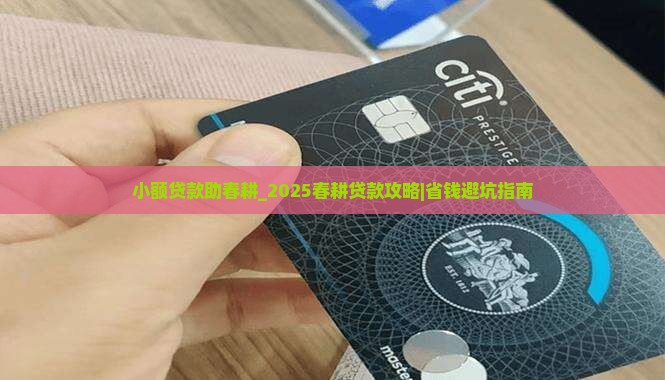 小额贷款助春耕