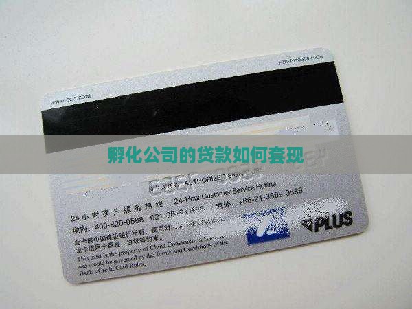 孵化公司的贷款如何套出来