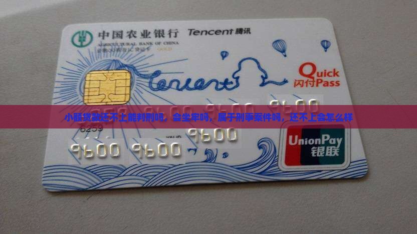小额贷款还不上能判刑吗