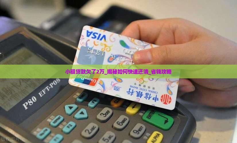 小额贷款欠了2万