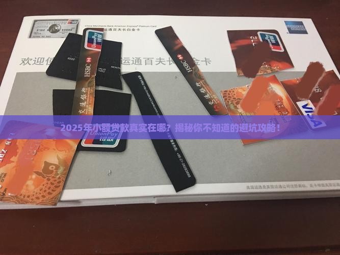 在哪里小额贷款真实