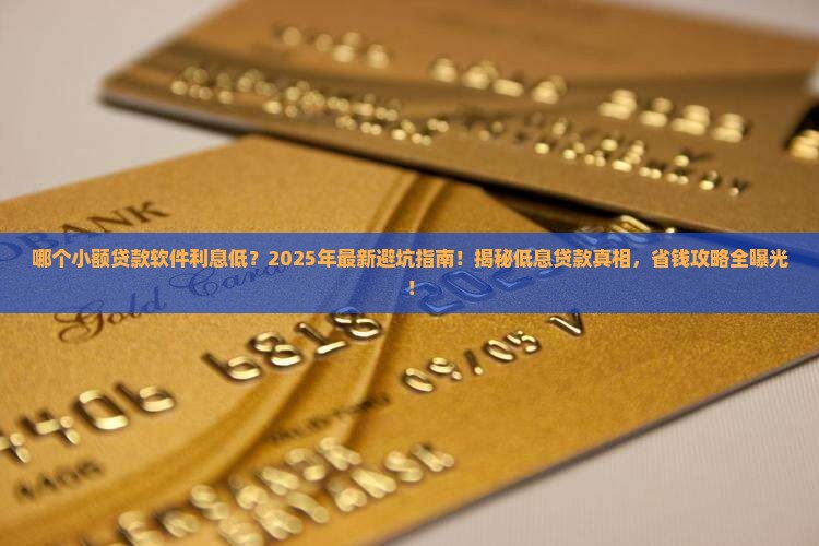 哪个小额贷款软件利息低