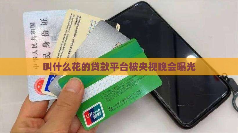 叫什么花的贷款平台