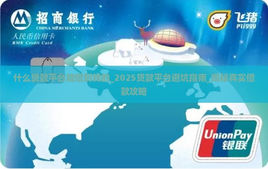 什么贷款平台能借到钱的