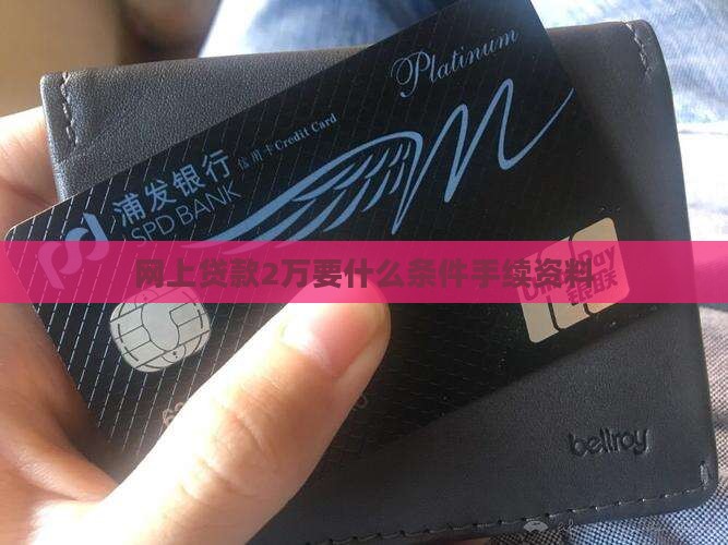 网上贷款2万要什么