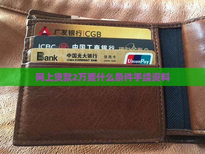 网上贷款2万要什么