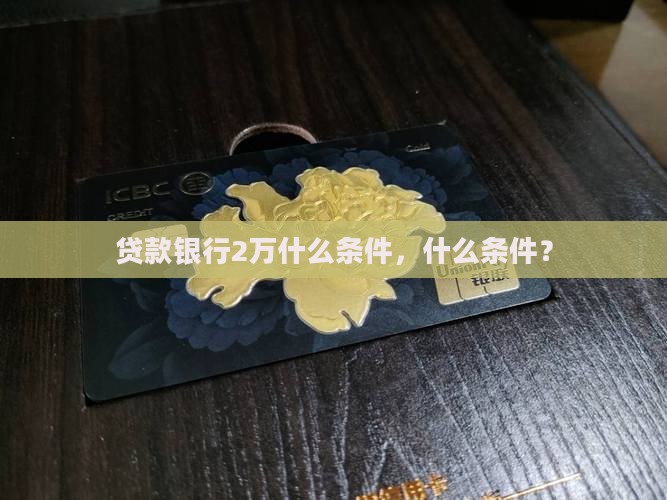在银行贷款2万