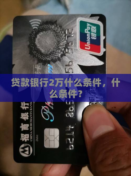 在银行贷款2万