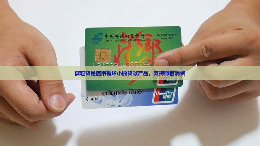 微粒贷是小额贷款嘛
