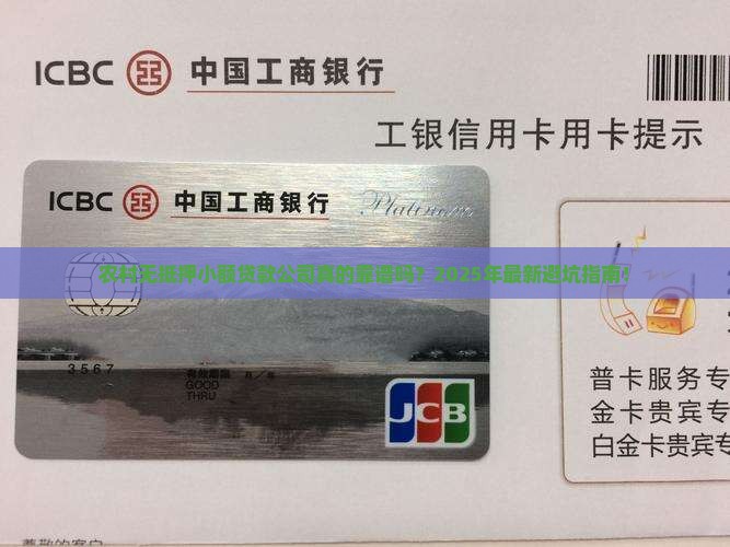 农村无抵押小额贷款公司