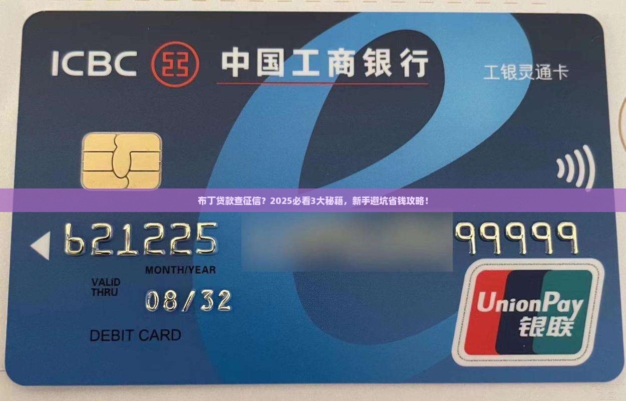 布丁贷款查征信