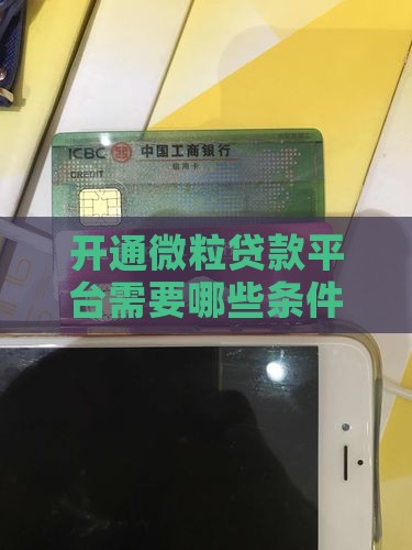 开通贷款平台的条件有哪些