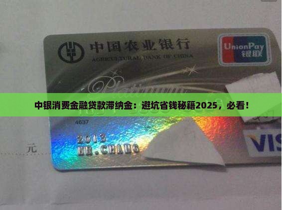 中银消费金融贷款滞纳金
