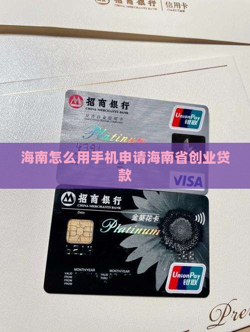 在海南怎么用手机创业贷款