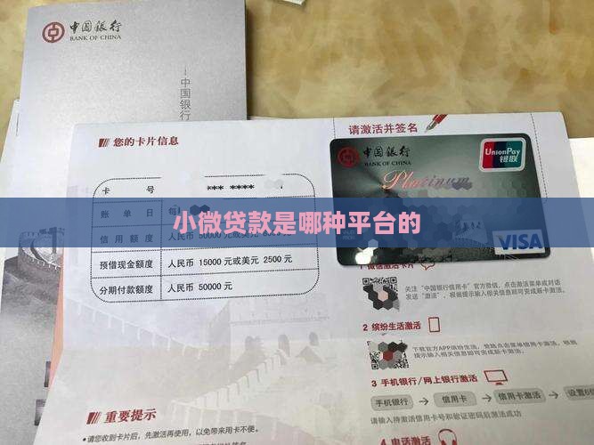 小微贷款是哪种平台的