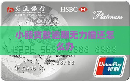 小额贷款逾期无力偿还怎么办