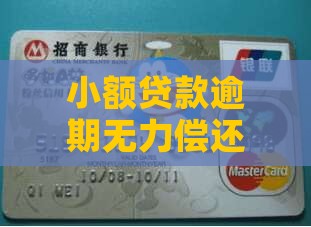 小额贷款逾期无力偿还怎么办