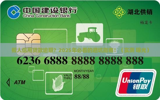 帮人信用贷款逾期