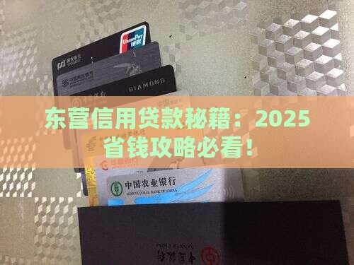 东营信用贷款