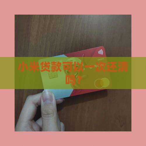 小米贷款能一次还完吗