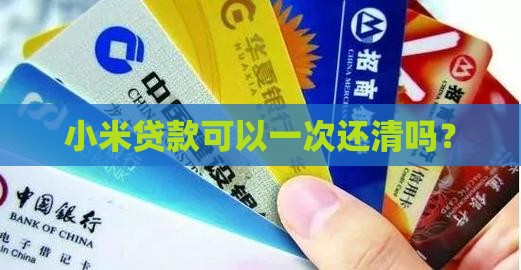 小米贷款能一次还完吗