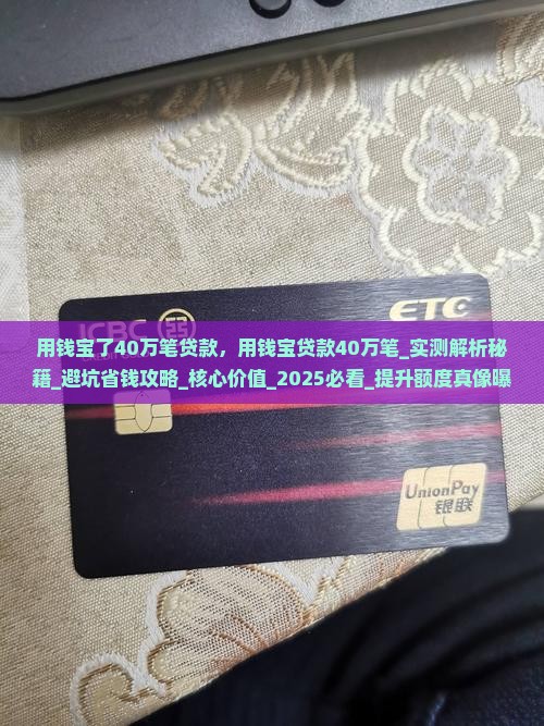 用钱宝了40万笔贷款