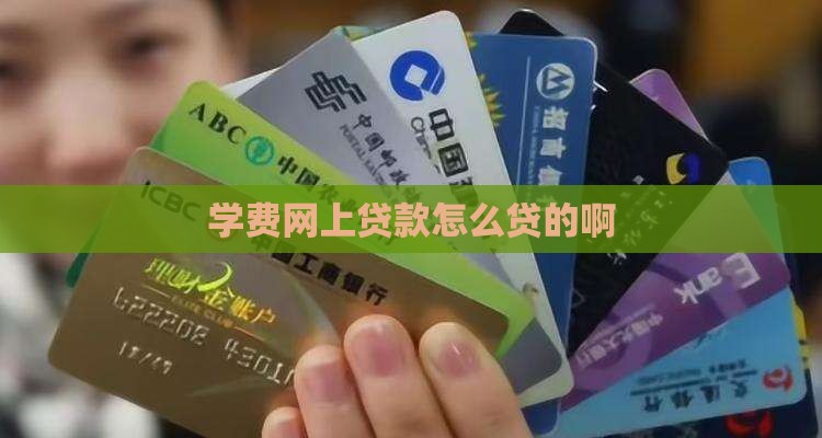 学费网上贷款怎么贷的啊