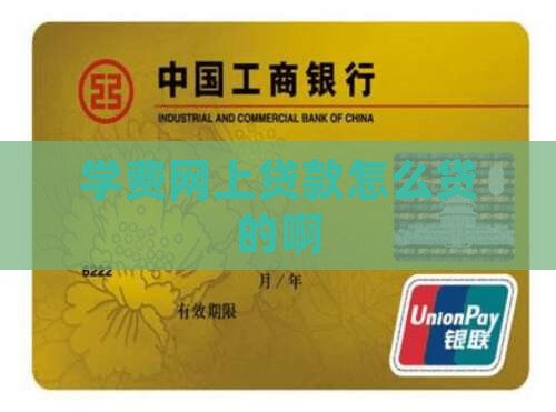 学费网上贷款怎么贷的啊