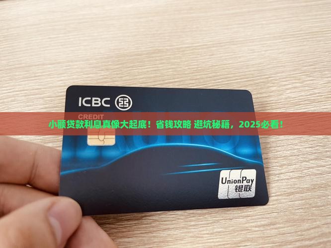 小额贷款利息q