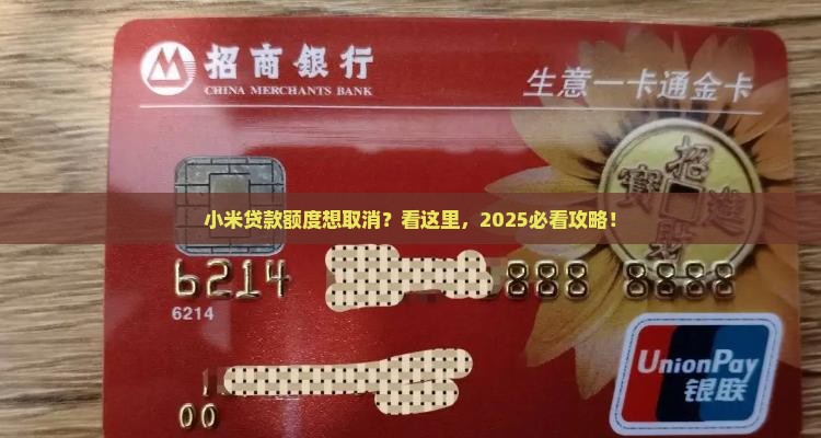 取消小米贷款额度