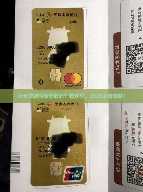 取消小米贷款额度