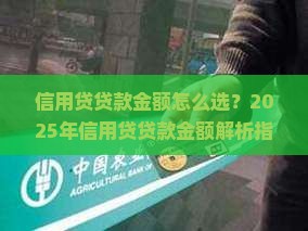 信用贷贷款金额