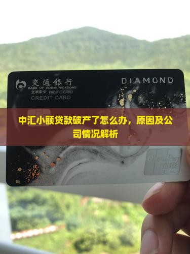 中汇小额贷款破产