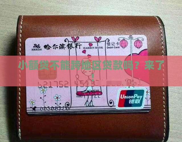 小额贷不能跨地区贷款吗