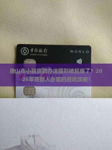 唐山市小额贷款办法细则