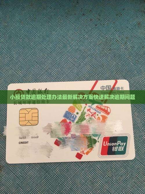 小额贷款逾期处理办法