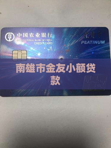 南雄市金友小额贷款
